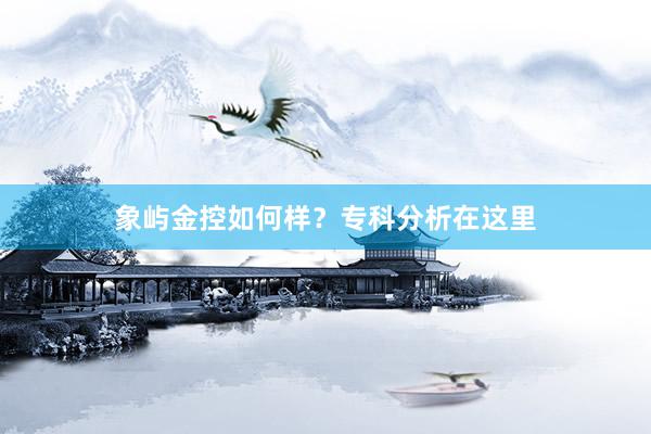象屿金控如何样？专科分析在这里